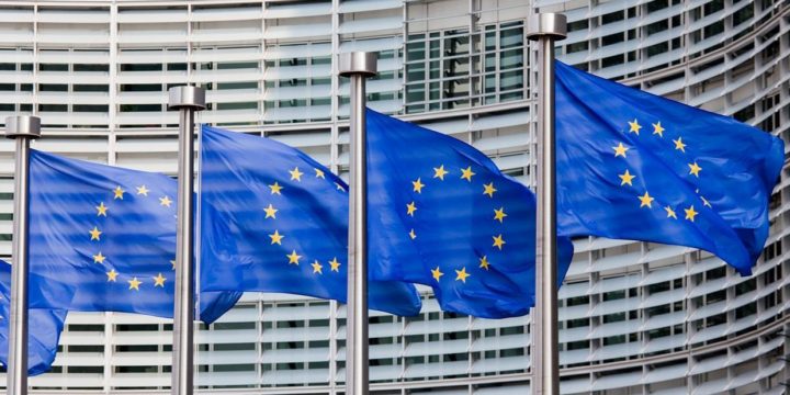 Objava biračima; Raspisani izbori za članove u Europski parlament iz Republike Hrvatske
